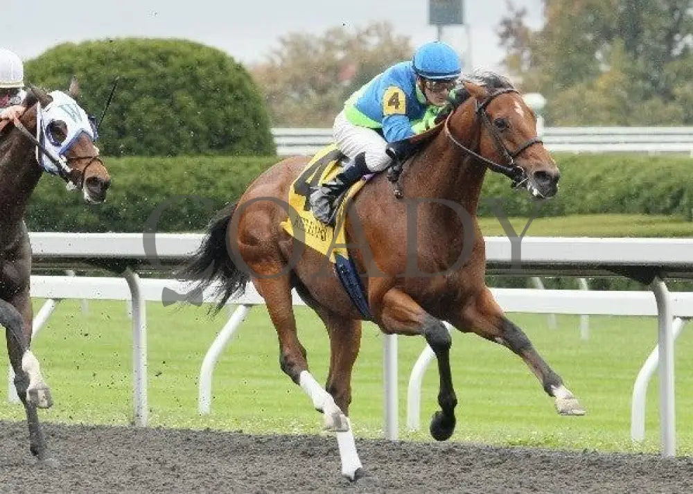 Quick Delivery - 4- 101311 Race 01 Keeneland