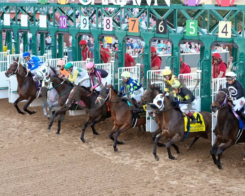 QUIETSIDE - Fantasy Stakes G2 - 53rd Running - 03-29-25 - R12 - OP - Start 02 Oaklawn Park