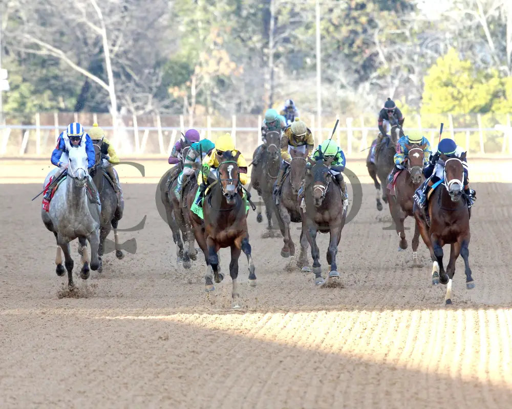 QUIETSIDE - The Honeybee Stakes G3 - 02-23-25 - R09 - OP - Head On 01 Oaklawn Park