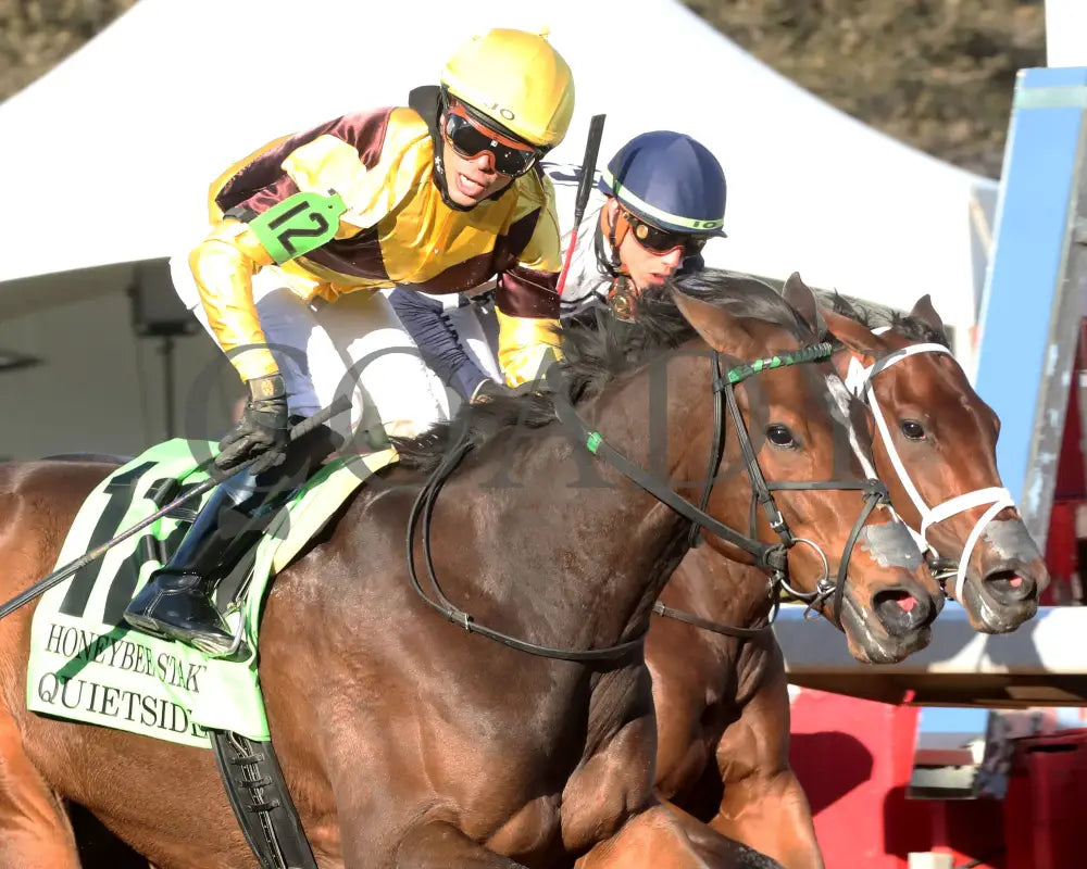 QUIETSIDE - The Honeybee Stakes G3 - 02-23-25 - R09 - OP - Tight Finish 02 Oaklawn Park