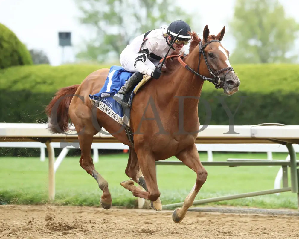 Raging Sea - The Baird Doubledogdare G3 29Th Running 04 - 19 - 24 R09 Kee Finish 02 Keeneland