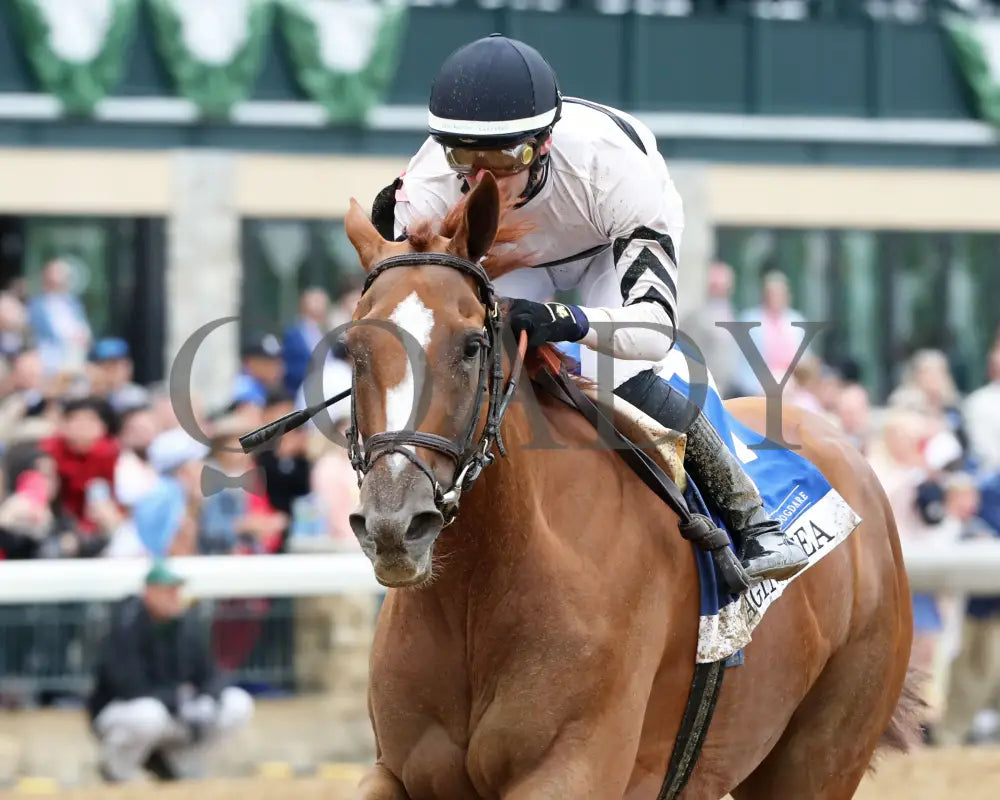 Raging Sea - The Baird Doubledogdare G3 29Th Running 04 - 19 - 24 R09 Kee Inside Finish 01 Keeneland