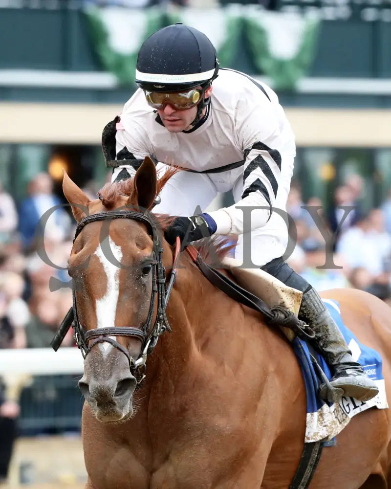 Raging Sea - The Baird Doubledogdare G3 29Th Running 04 - 19 - 24 R09 Kee Inside Finish 02 Keeneland