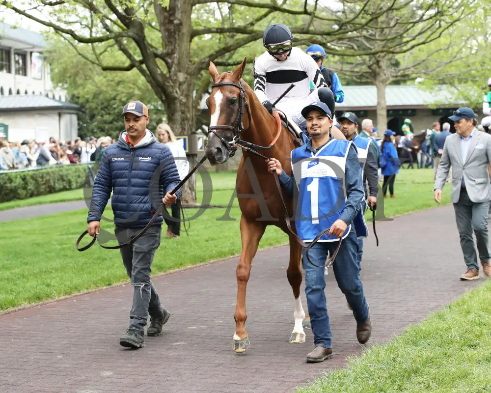 Raging Sea - The Baird Doubledogdare G3 29Th Running 04 - 19 - 24 R09 Kee Paddock 01 Keeneland