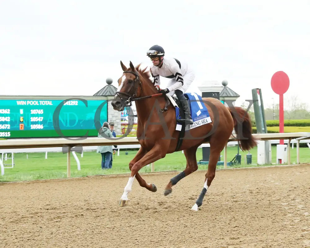 Raging Sea - The Baird Doubledogdare G3 29Th Running 04 - 19 - 24 R09 Kee Post Parade 02 Keeneland
