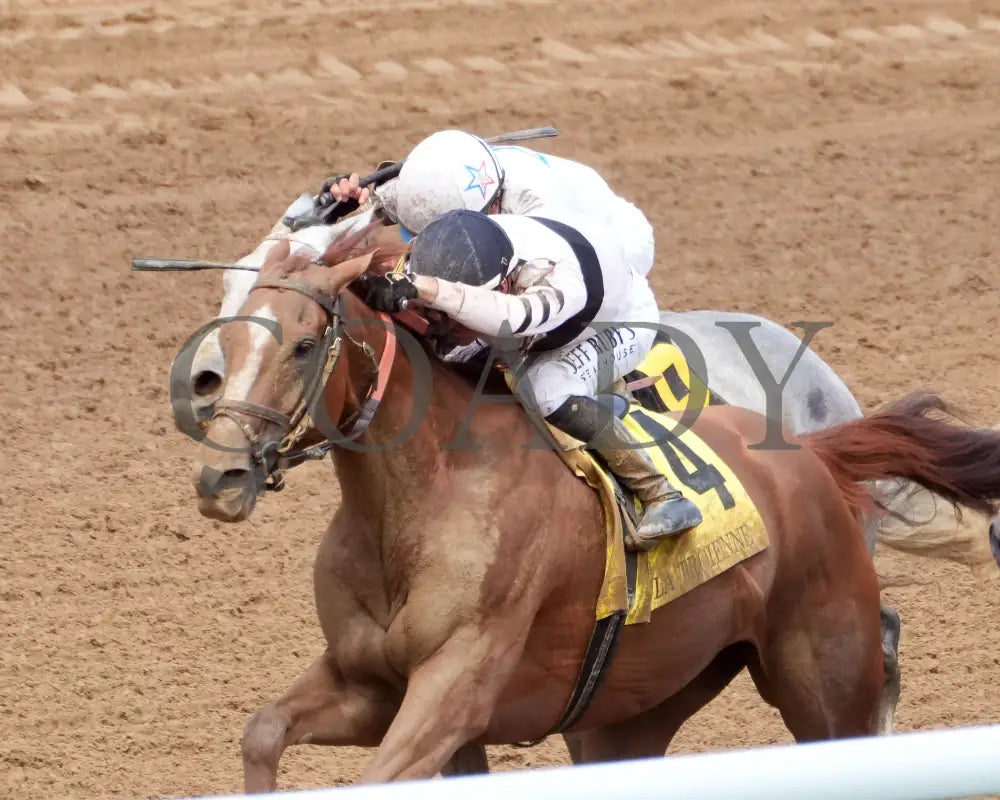 RAGING SEA - The Fasig - Tipton La Troienne G1 - 40th Running - 05-02-25 - R07 - CD - Inside Finish 03 Churchill Downs