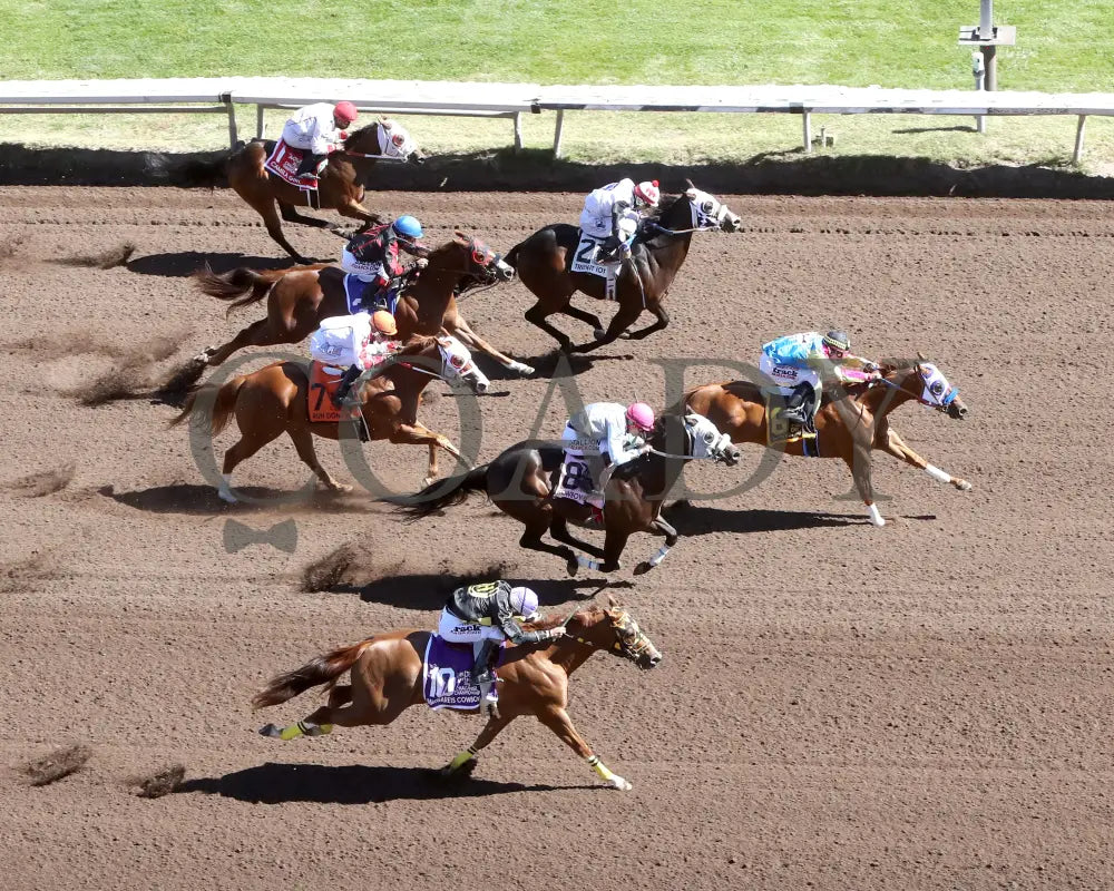 RAIZEN KANE - The John Deere Juvenile Challenge Championship Gll - 10-18-25 - R11 - ALB (Copy) Downs at Albuquerque