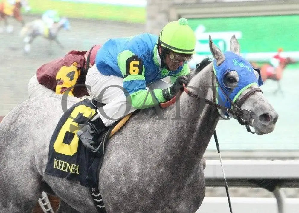 Ratatat - 2 102811 Race 01 Keeneland