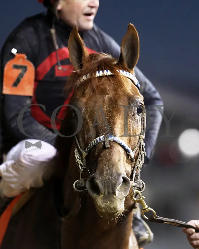 Rattle N Roll - The Clark G2 150Th Running 11-29-24 R11 Cd Come Back 02 Churchill Downs