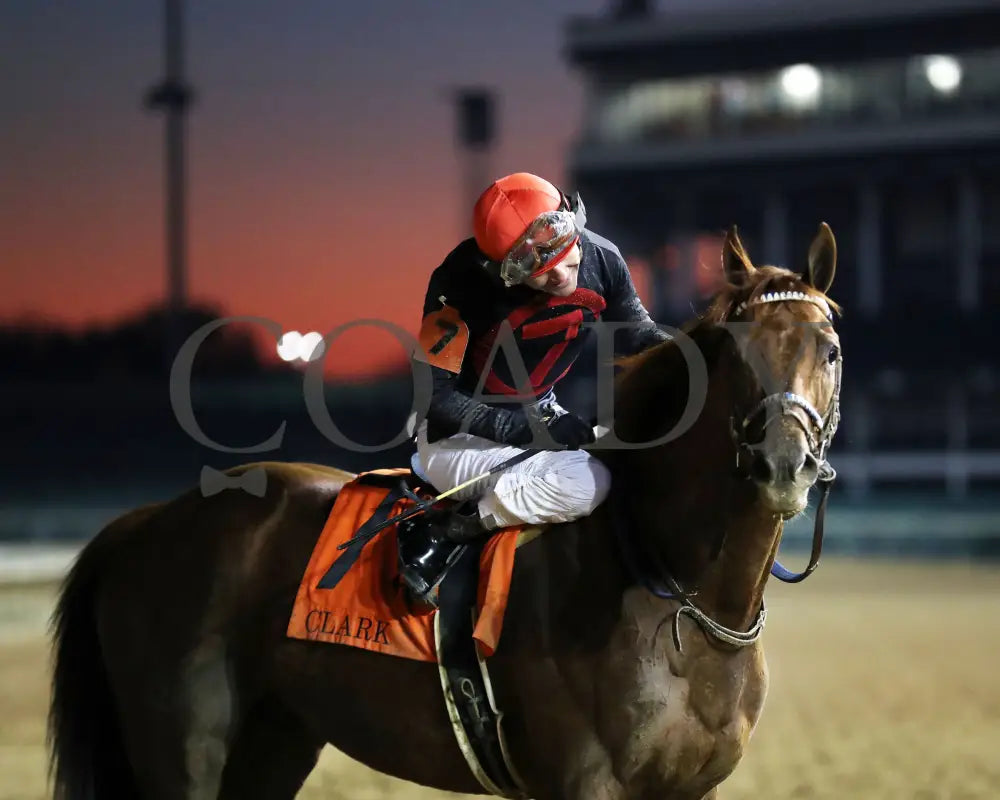 Rattle N Roll - The Clark G2 150Th Running 11-29-24 R11 Cd Come Back 04 Churchill Downs