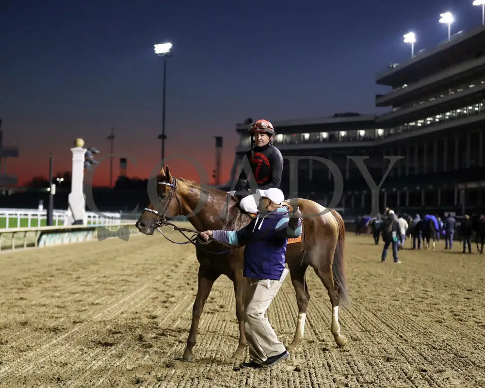 Rattle N Roll - The Clark G2 150Th Running 11-29-24 R11 Cd Come Back 05 Churchill Downs