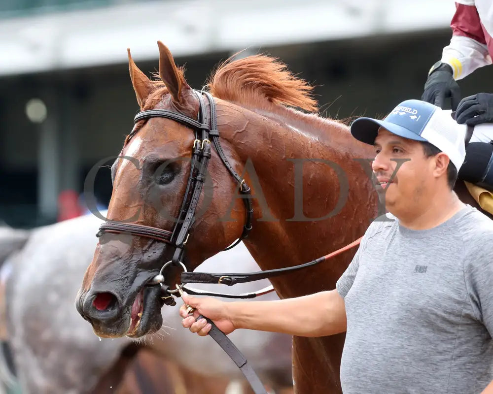 REBEL RED - 061425 - Race 10 - CD - Come Back 01 Churchill Downs