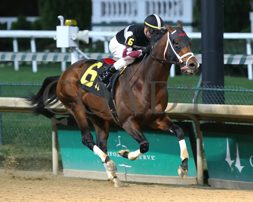 Recruiting Ready - Bet On Sunshine Overnight Stakes 12Th Running 11-02-19 R10 Cd Finish 02