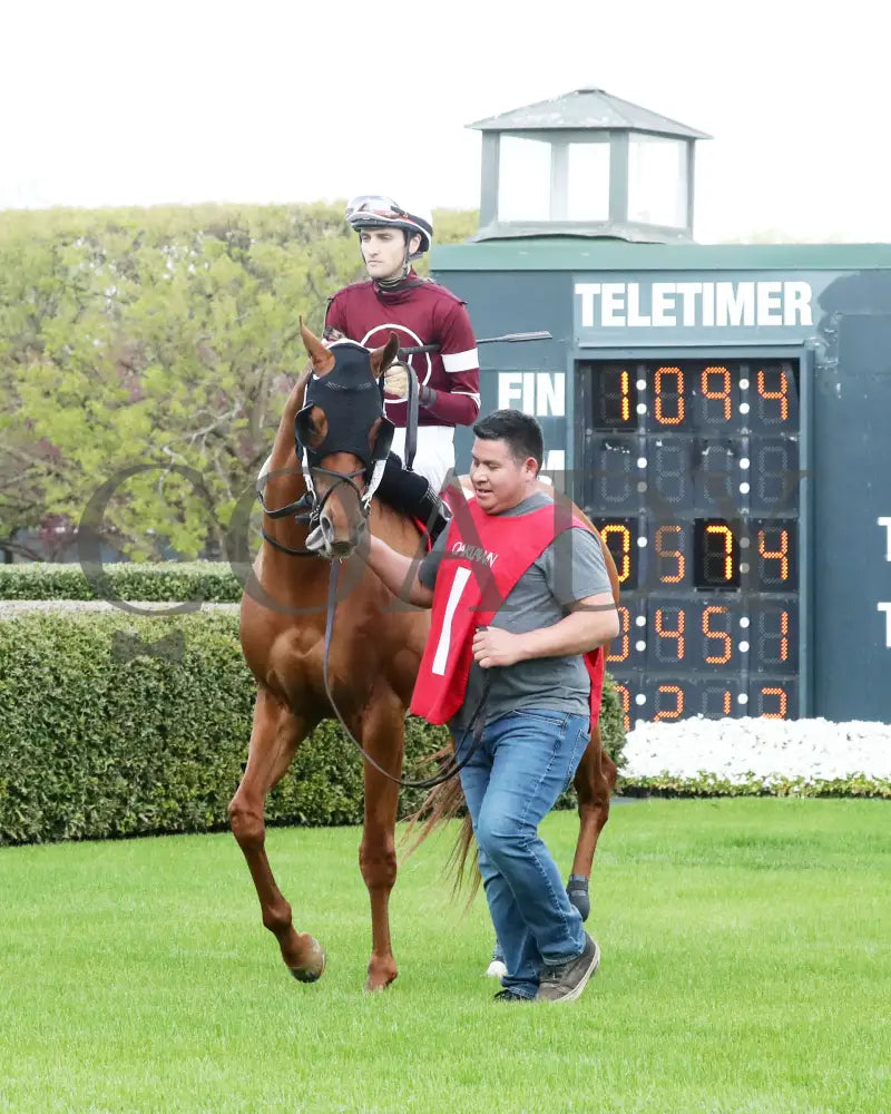 RED ROUTE ONE - The Essex Handicap G3 - 03-22-25 - R10 - OP - Paddock 04 Oaklawn Park