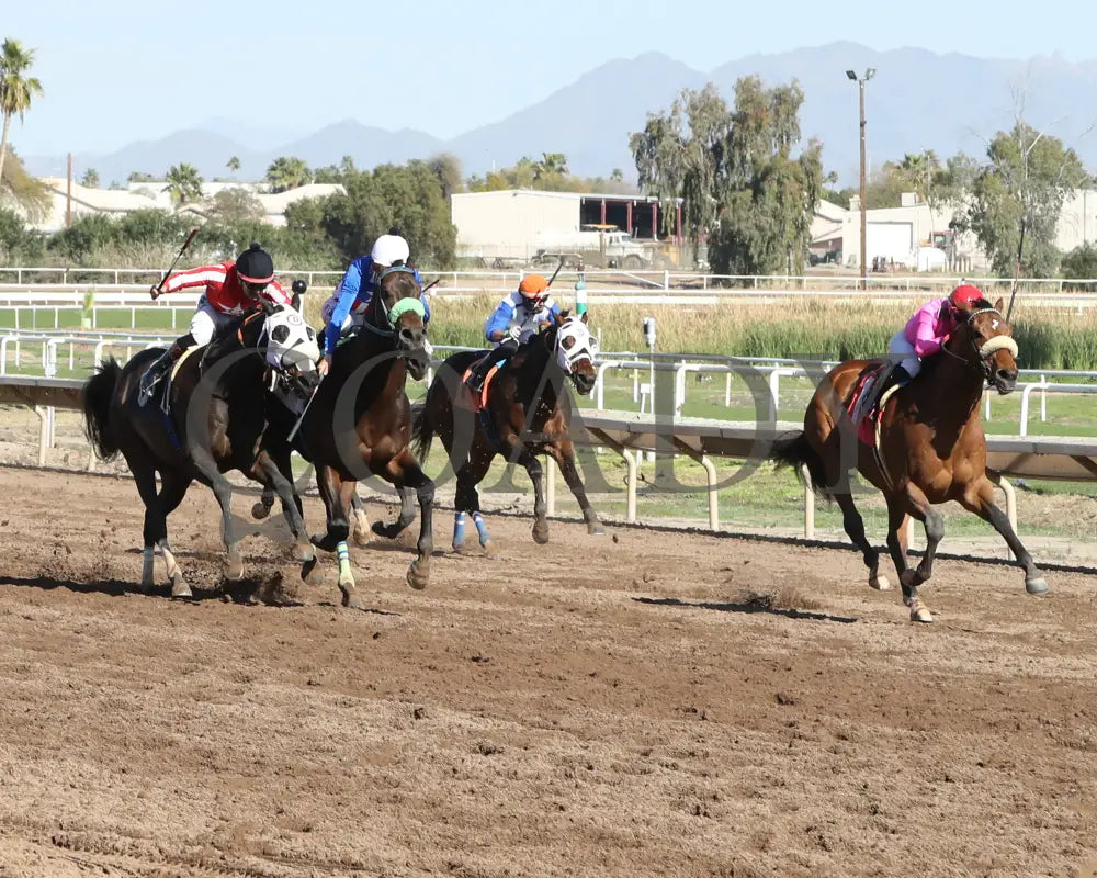 Redline - Walter R Cluer Memorial 02-15-24 R08 Turf Paradise Finish 2