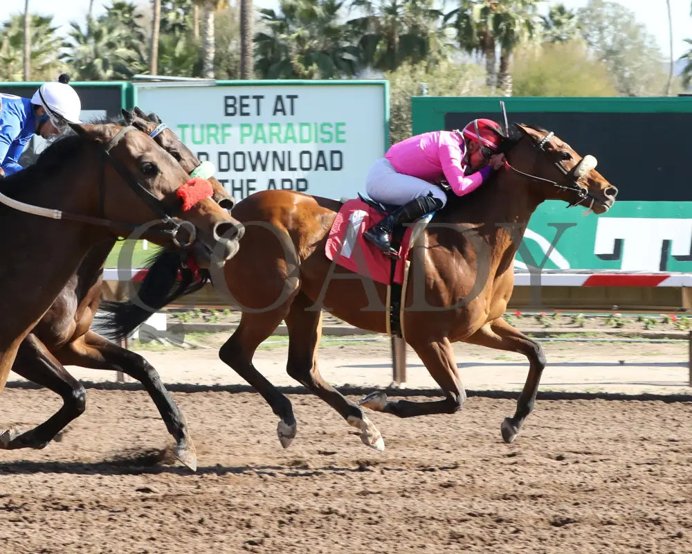 Redline - Walter R Cluer Memorial 02-15-24 R08 Turf Paradise Finish