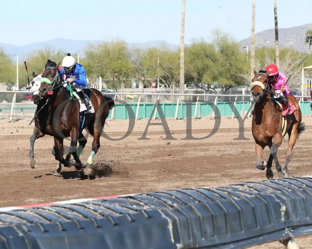 Redline - Walter R Cluer Memorial 02-15-24 R08 Turf Paradise Inside Finish