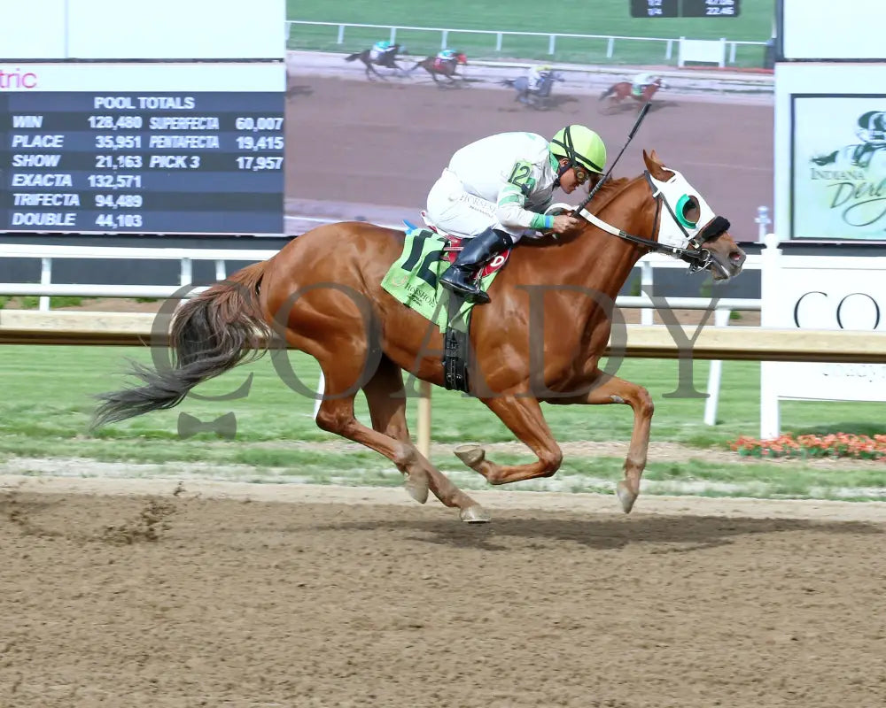 Reflex - Sagamore Sired 10Th Running 05-22-24 R08 Horseshoe Indiana Finish 01 Sammantha Pagels Grand