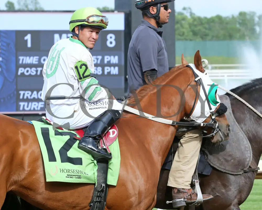 Reflex - Sagamore Sired 10Th Running 05-22-24 R08 Horseshoe Indiana Post Parade 01 Sammantha Pagels