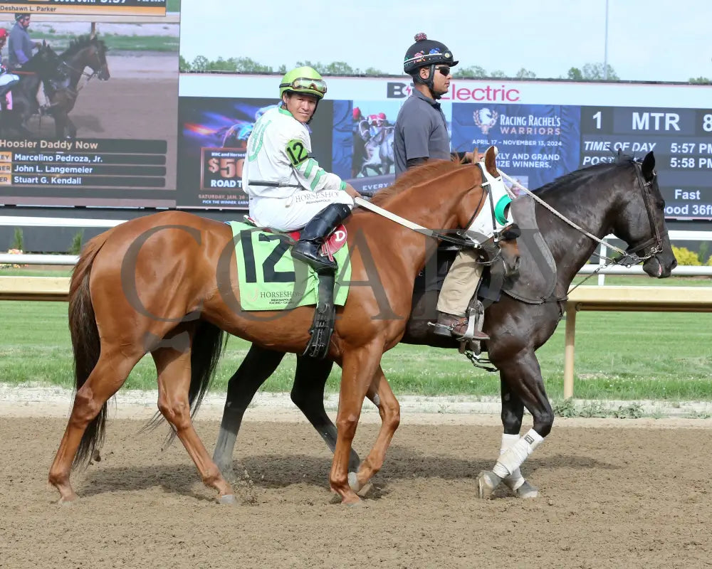 Reflex - Sagamore Sired 10Th Running 05-22-24 R08 Horseshoe Indiana Post Parade 02 Sammantha Pagels