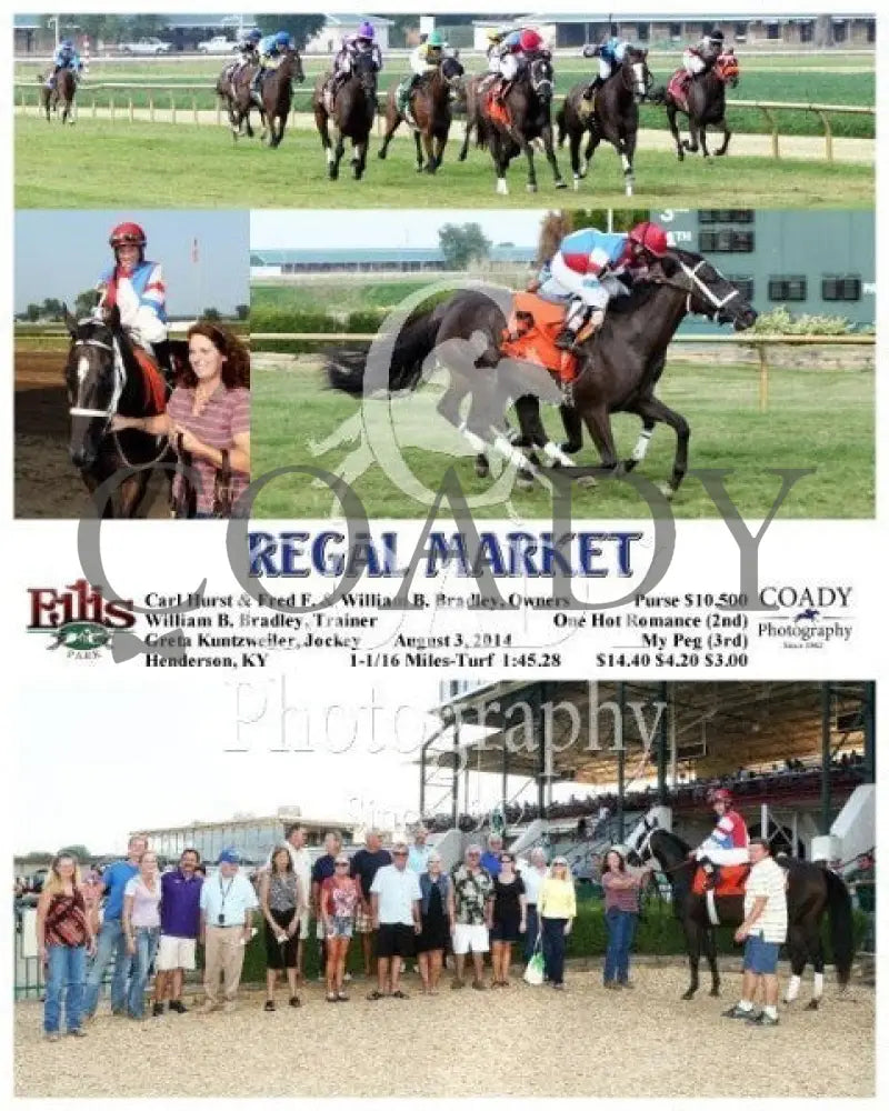 Regal Market - 080314 Race 09 Elp Ellis Park