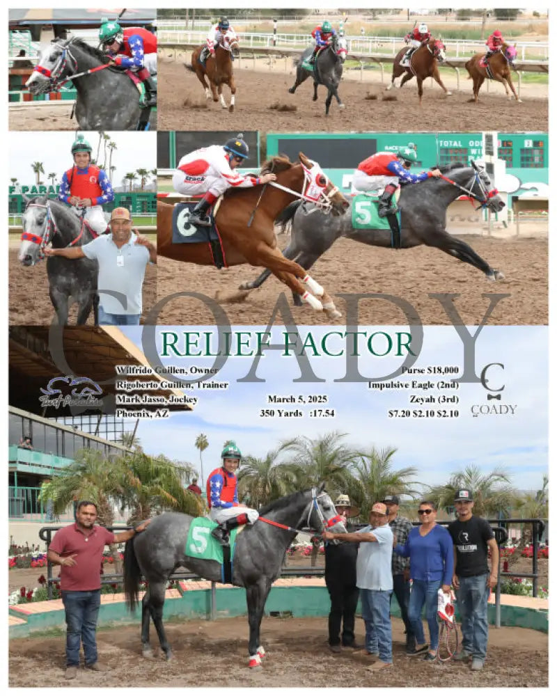 RELIEF FACTOR - 03-05-25 - R01 - TUP Turf Paradise