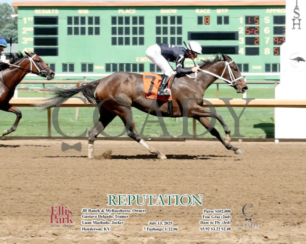 REPUTATION - 071325 - Race 08 - ELP - Action 1 Ellis Park