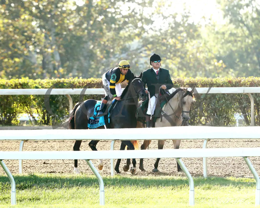RHETORICAL - 100425 - Race 10 - KEE - Come Back 03 Keeneland
