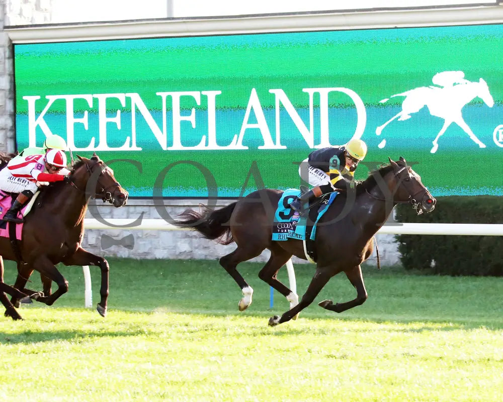 RHETORICAL - 100425 - Race 10 - KEE - Finish 03 Keeneland