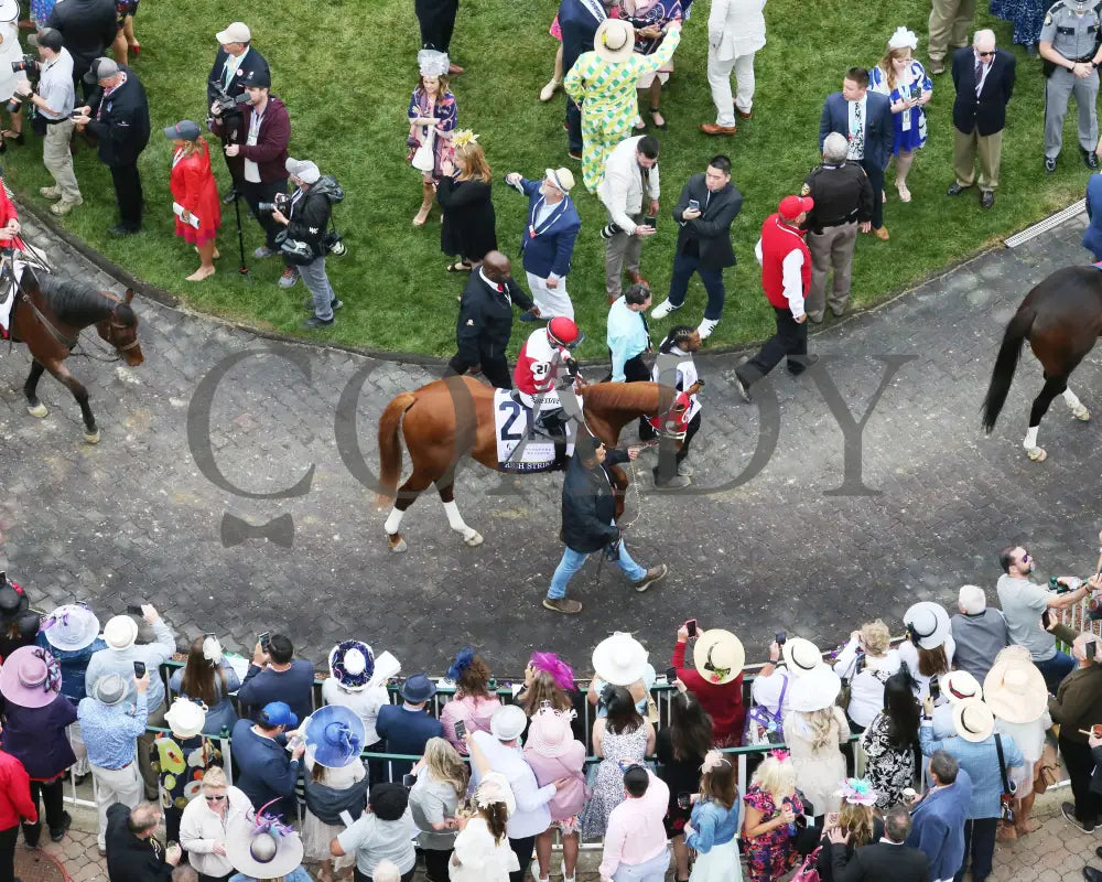 Rich Strike - The Kentucky Derby 148Th Running 05-07-22 R12 Cd Paddock 03 Churchill Downs