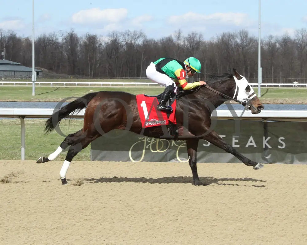 RIGHT NOW - 03-22-25 - R06 - TP - Finish 01 Turfway Park