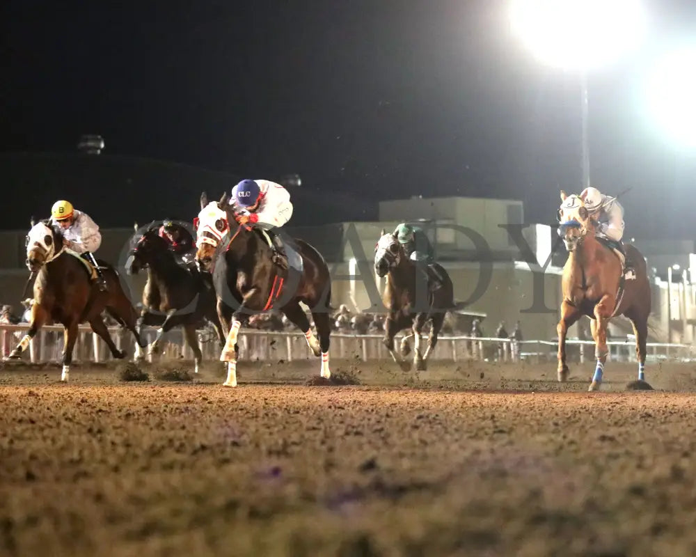 RLH FOURONTHEFLOOR - The Casino at the Downs Quarter Horse Stakes - 10-18-25 - R05 - The Downs at Albuquerque