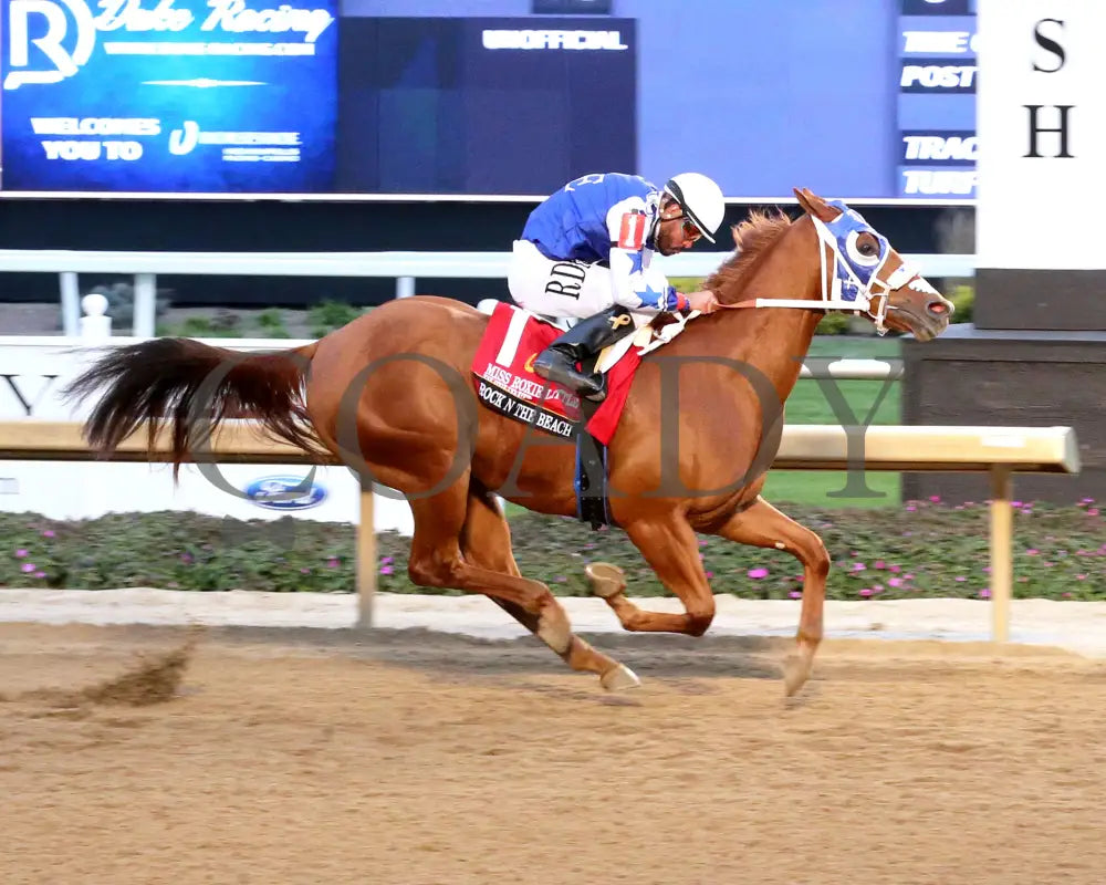 ROCK N THE BEACH - Miss Roxie Little Futurity Final - RG3 - 10-25-25 - R13 - Horseshoe Indiana - Finish 01 Indiana Grand