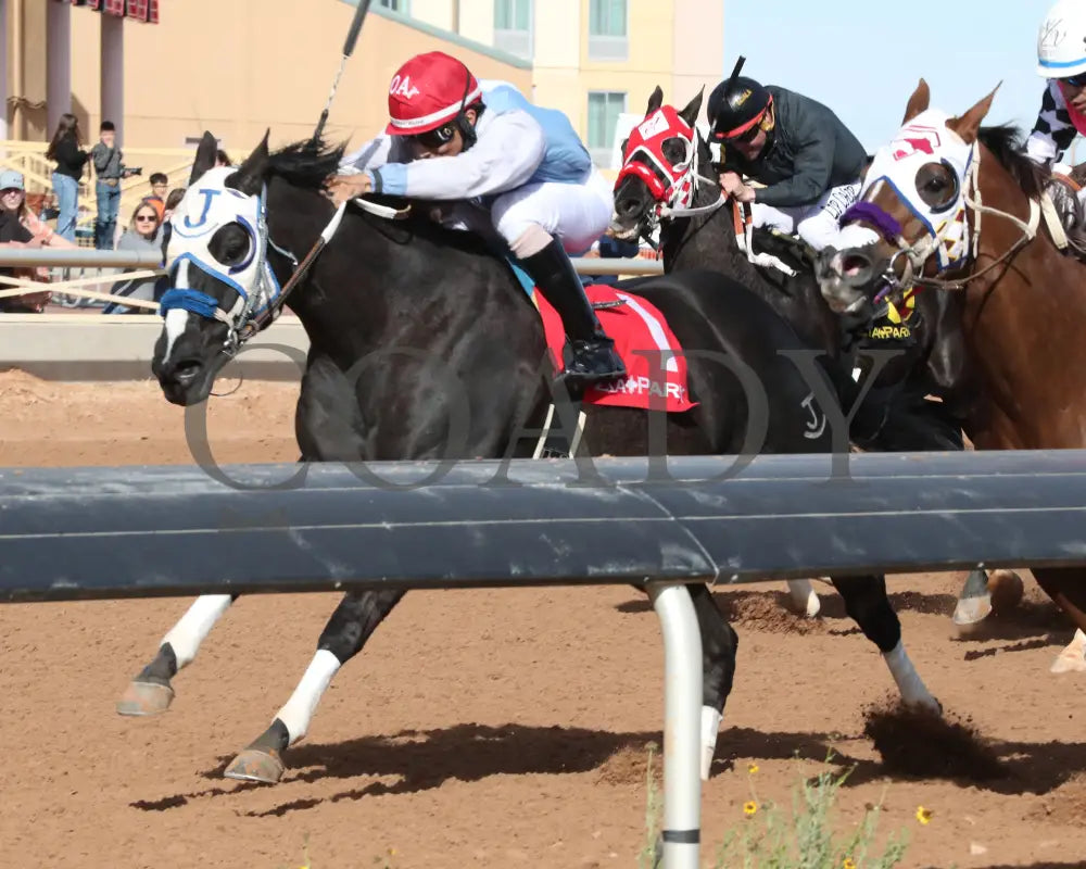 Rock Ya Later - King Rick Rack Stakes 12-15-24 R04 Zia Park Inside Finish