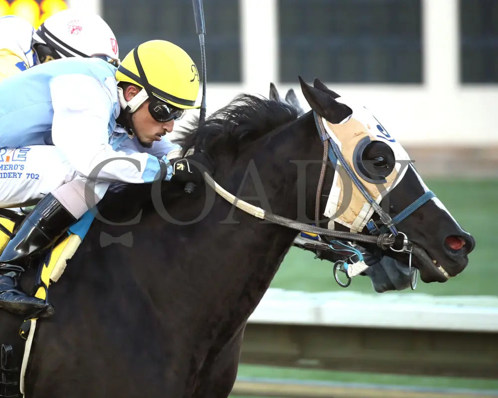 ROCK YA LATER - The Sandia Stakes - 10-18-25 - R01 - The Downs at Albuquerque - Finish 02 Downs at Albuquerque