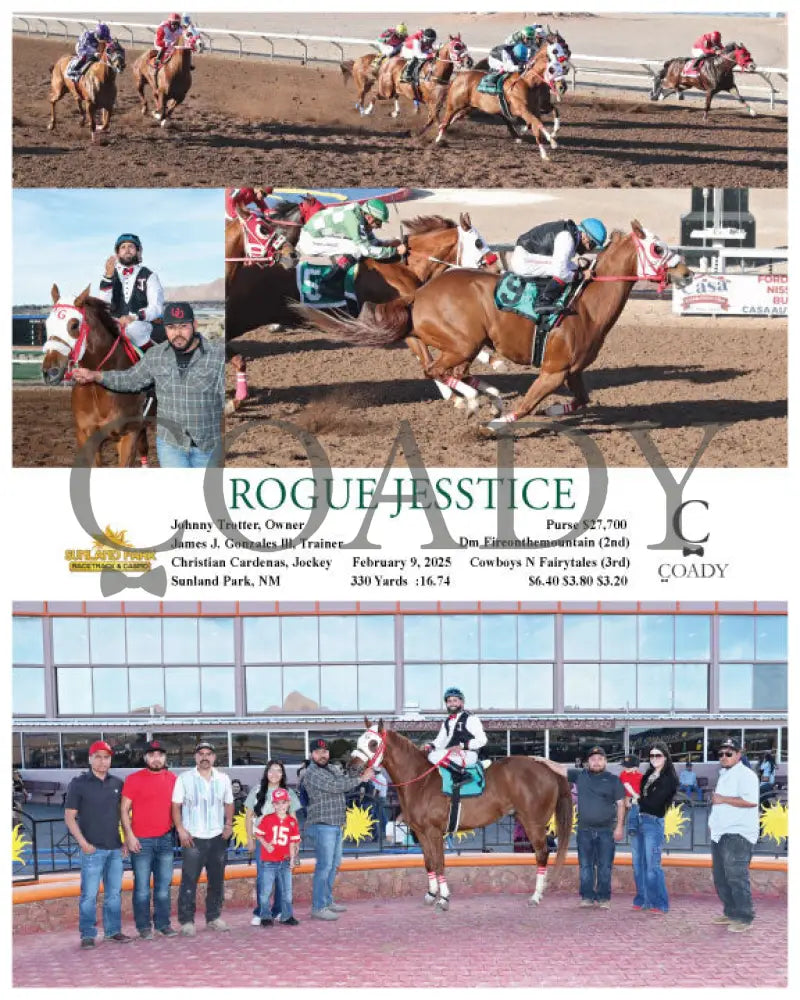 ROGUE JESSTICE - 02-09-25 - R09 - SUN Turfway Park