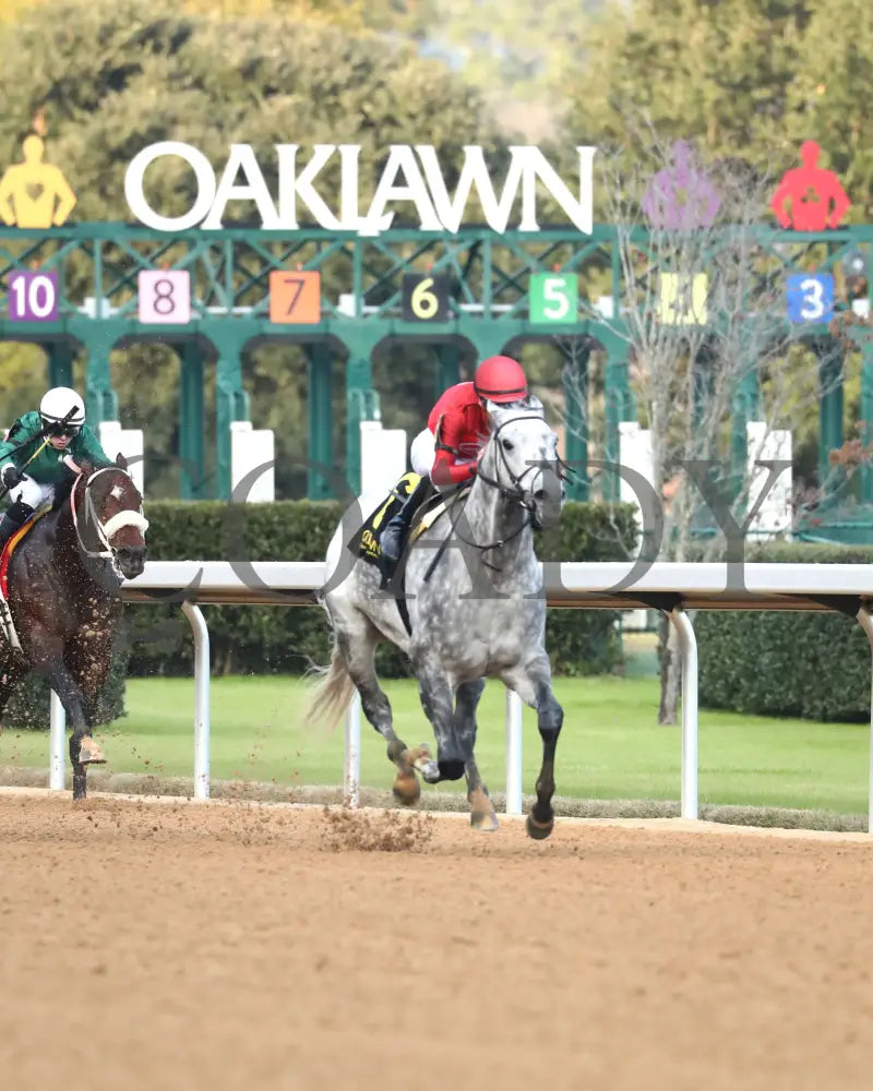 ROLL ON BIG JOE - Ring The Bell Stakes - 12-13-25 - R08 - OP - Finish 03 - Coady Media - Kurtis Coady Photography