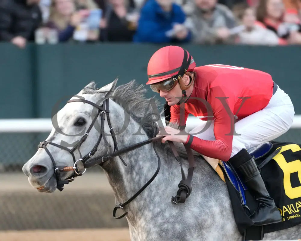ROLL ON BIG JOE - Ring The Bell Stakes - 12-13-25 - R08 - OP - Presentation 01 - Coady Media - Kurtis Coady Photography