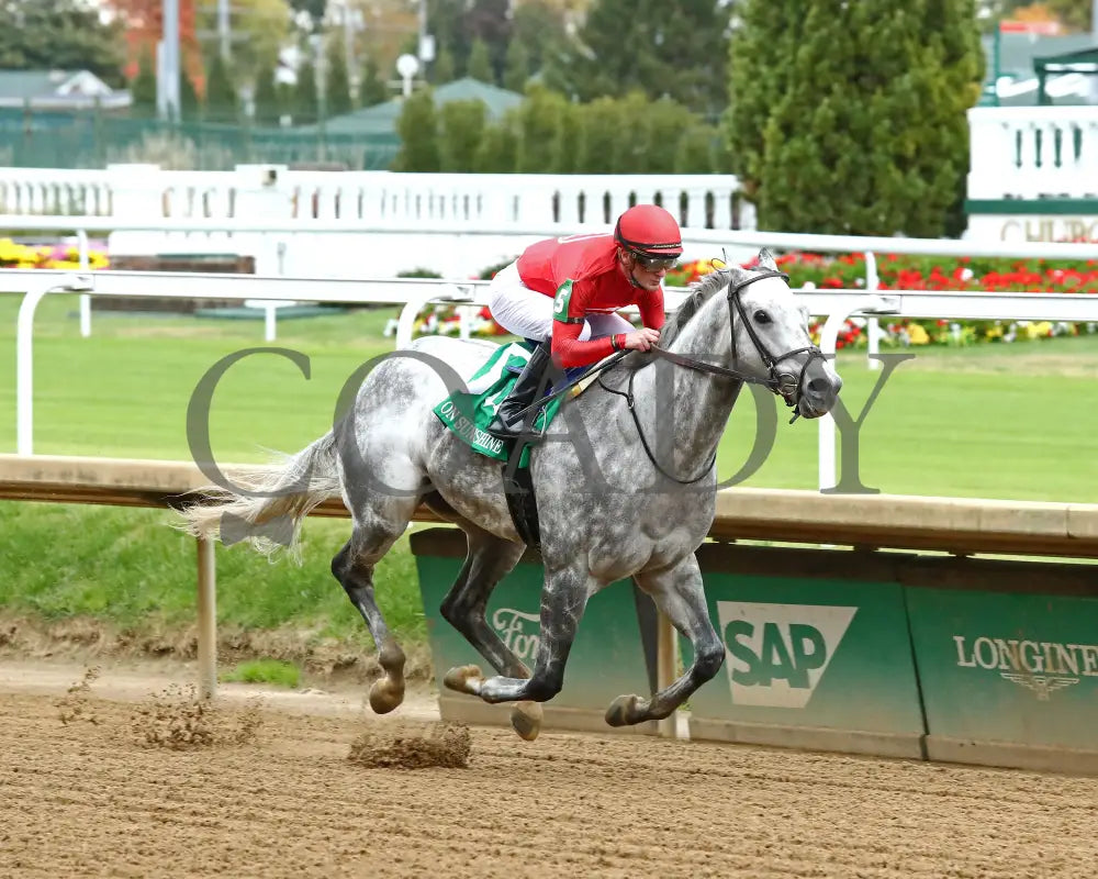 ROLL ON BIG JOE - The Bet on Sunshine - 11-01-25 - R07 - CD - Finish 02 - Coady Media - Kurtis Coady Photography