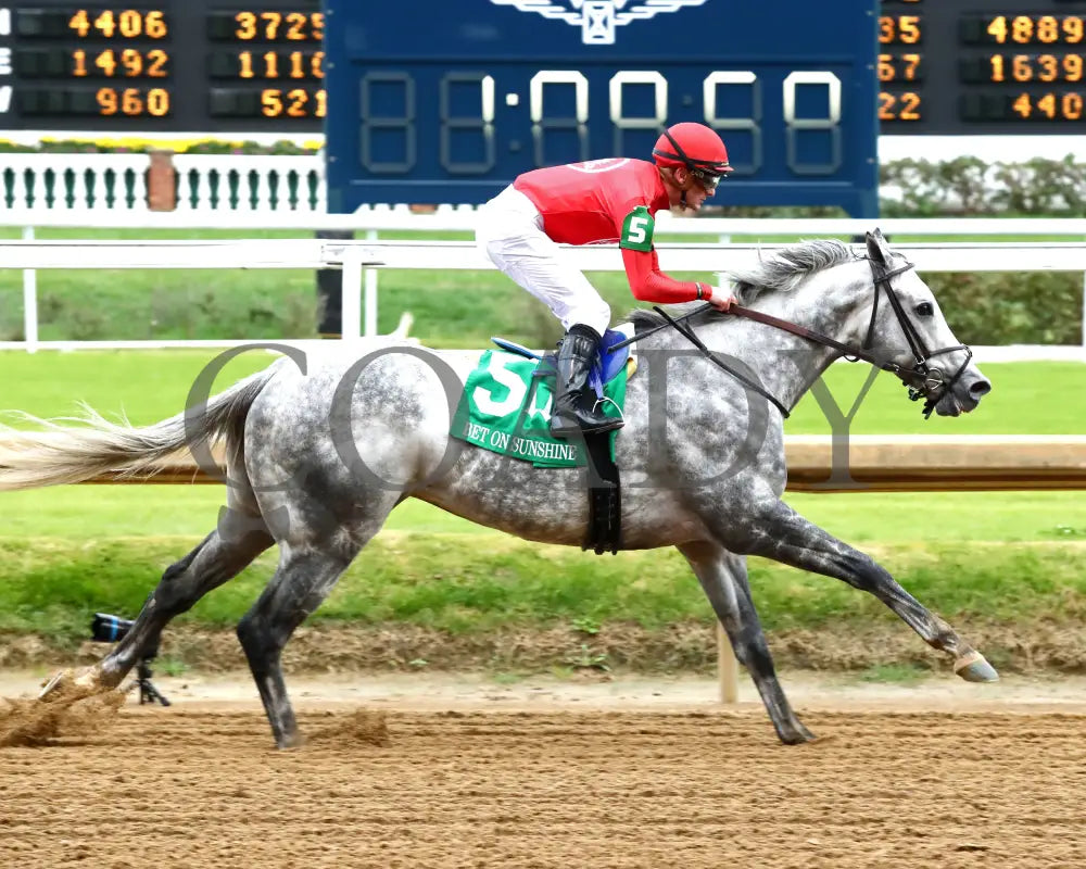 ROLL ON BIG JOE - The Bet on Sunshine - 11-01-25 - R07 - CD - Finish 03 - Coady Media - Kurtis Coady Photography