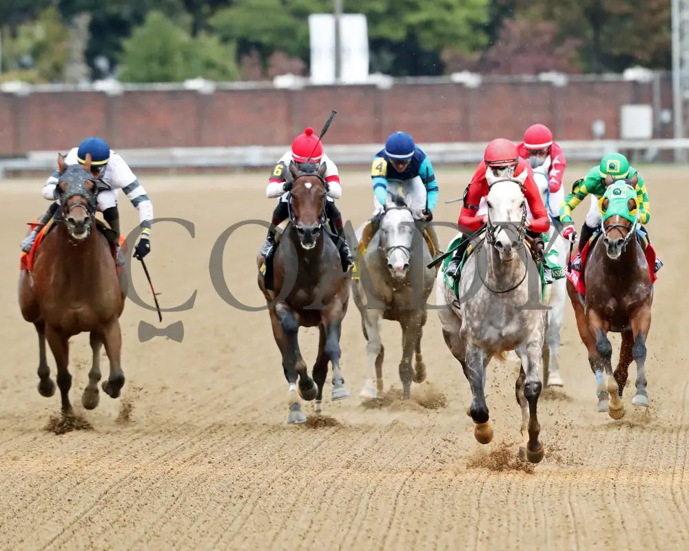 ROLL ON BIG JOE - The Bet on Sunshine - 11-01-25 - R07 - CD - Head On 01 - Coady Media - Kurtis Coady Photography