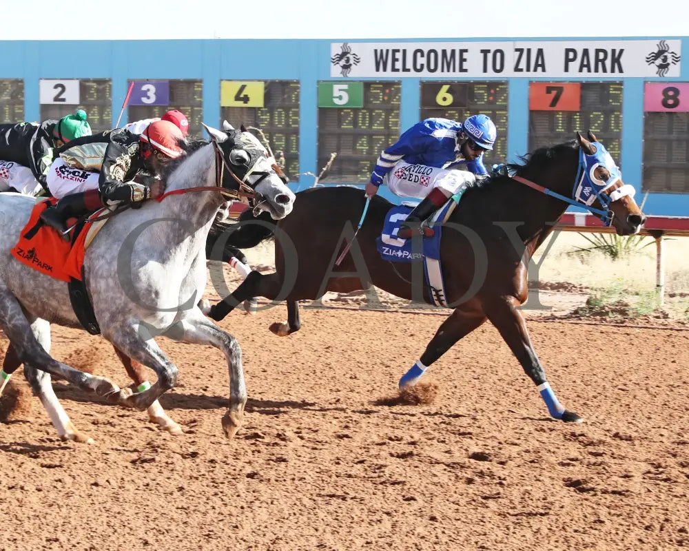 Rollin Candy Dynasty - Lovington Stakes 12-15-24 R06 Zia Park Finish