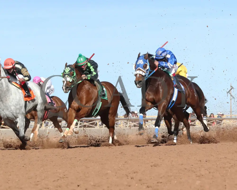 Rollin Candy Dynasty - Lovington Stakes 12-15-24 R06 Zia Park Under Rail