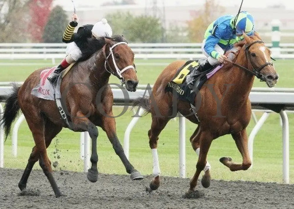 Rose Medallion - 2 101211 Race 09 Keeneland