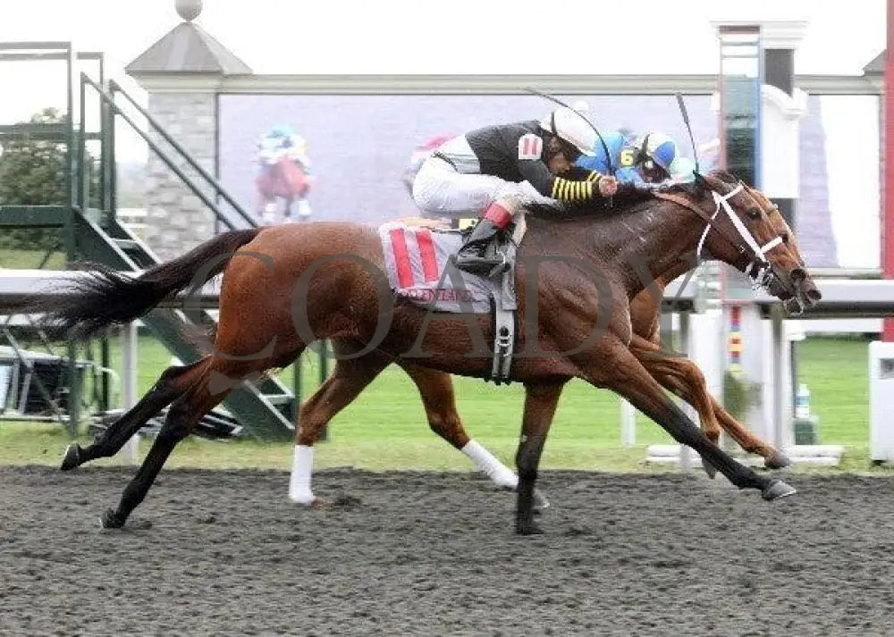 Rose Medallion - 5 101211 Race 09 Keeneland