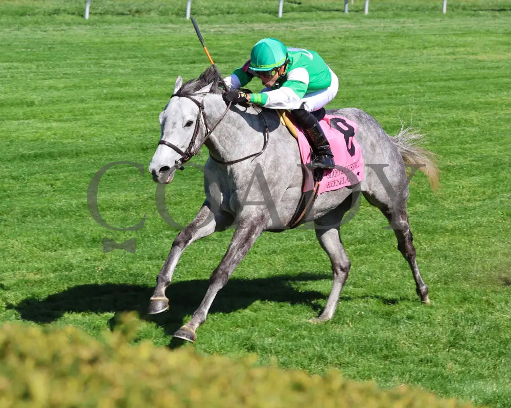Roses For Debra - The Giant’s Causeway G3 27Th Running 04 - 13 - 24 Race 7 Kee Inside Finish 02