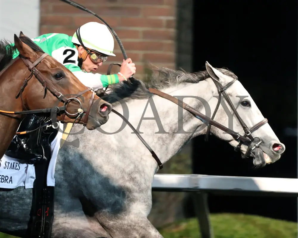 Roses For Debra - The Presque Isle Masters Stakes G2 09-20-24 R09 Pid Finish 02 Downs