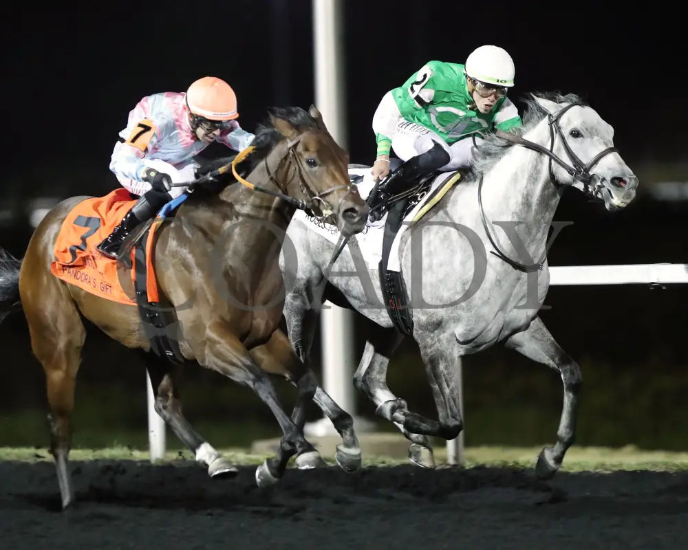 Roses For Debra - The Presque Isle Masters Stakes G2 09-20-24 R09 Pid Finish 03 Downs