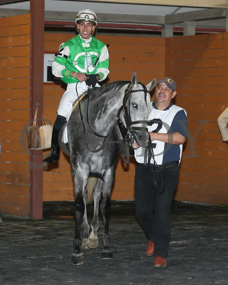 Roses For Debra - The Presque Isle Masters Stakes G2 09-20-24 R09 Pid Paddock 02 Downs