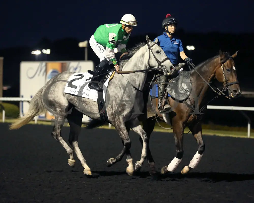 Roses For Debra - The Presque Isle Masters Stakes G2 09-20-24 R09 Pid Post Parade 01 Downs